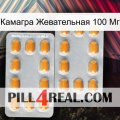 Камагра Жевательная 100 Мг cialis4